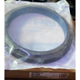 RETEN CIGUENAL TRASERO 466E 436016

										-