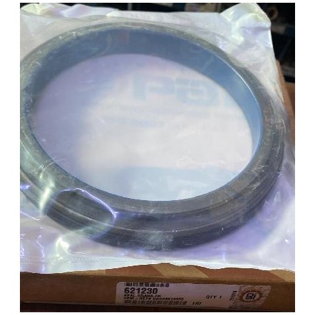 RETEN CIGUENAL TRASERO 466E 436016

										-