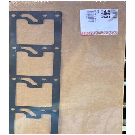 EMPAQUE RIEL COMBUSTIBLE DT466E DT 530E 431257

										-