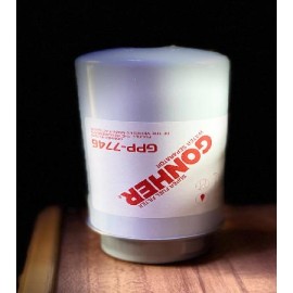 FILTRO GPP7746 BF7746D

										-