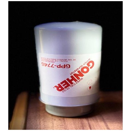 FILTRO GPP7746 BF7746D

										-