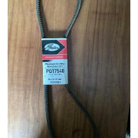 Banda BPQ17540

										-