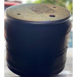 BOLSA DE AIRE 1R12 069 PETERBILT 9069

										-