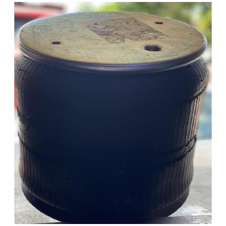 BOLSA DE AIRE 1R12 069 PETERBILT 9069

										-